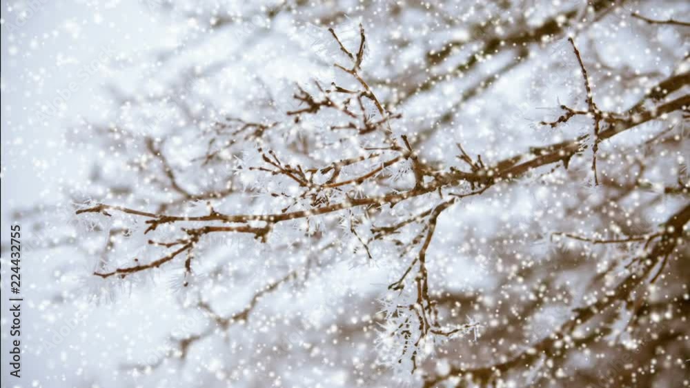 white snow particles fly against the background of snow-covered trees. snowfall in the forest. 3D rendering white snow particles fly against the background of snow-covered trees. snowfall in the forest. 3D rendering