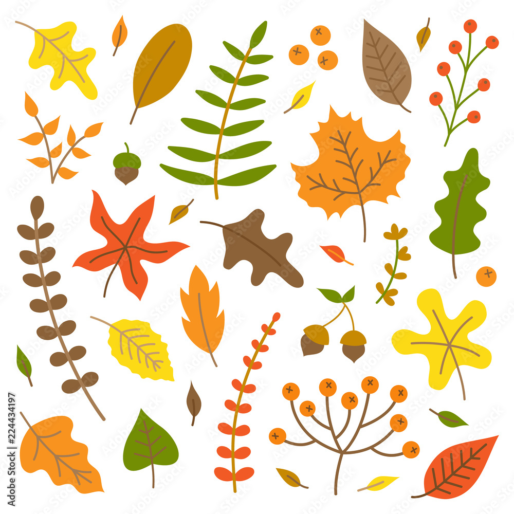 Colorful autumn leaves vector illustration set. Fall nature, leaves and plants collection, isolated.