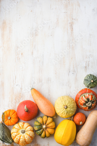 Assortment of pumpkins and gourds on the white wooden tablebackground arranged in a grid, copy space for text, selective focus photo