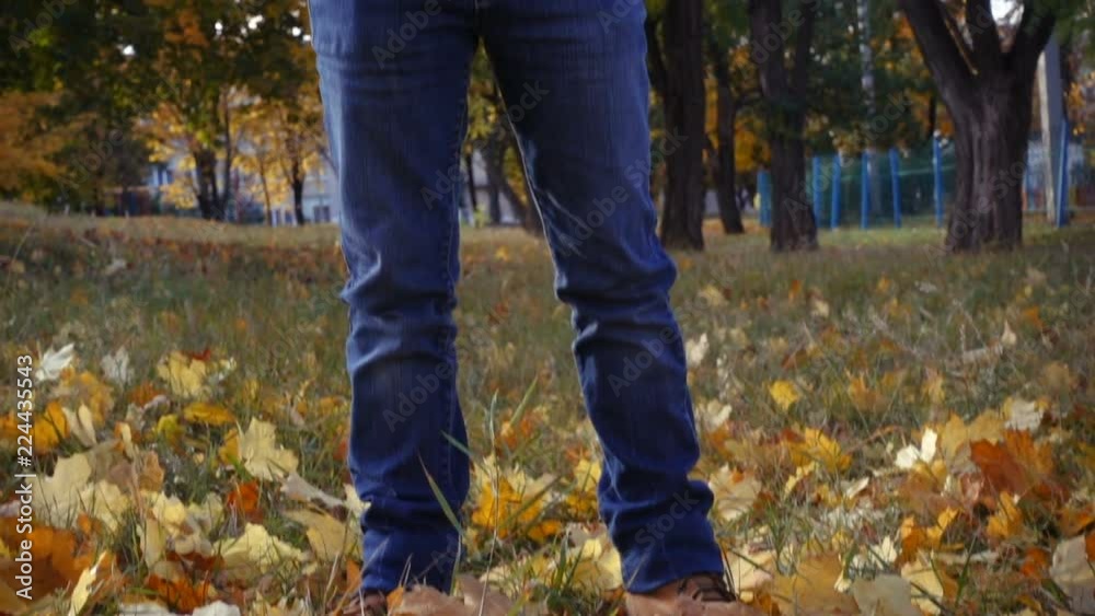 Happy boy throwing autumn leaves on park Happy boy throwing autumn leaves on park
