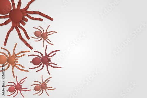 small and large spiders tarantulas on a white background