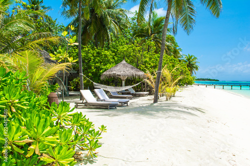 Fototapeta Naklejka Na Ścianę i Meble -  Beautiful sandy beach with sunbeds and umbrellas in Indian ocean, Maldives island
