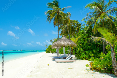 Beautiful sandy beach with sunbeds and umbrellas in Indian ocean, Maldives island