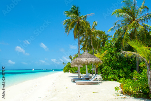 Fototapeta Naklejka Na Ścianę i Meble -  Beautiful sandy beach with sunbeds and umbrellas in Indian ocean, Maldives island