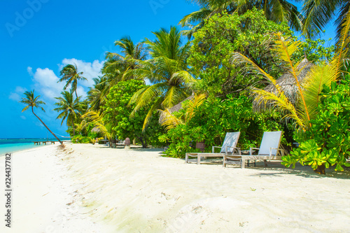 Fototapeta Naklejka Na Ścianę i Meble -  Beautiful sandy beach with sunbeds and umbrellas in Indian ocean, Maldives island
