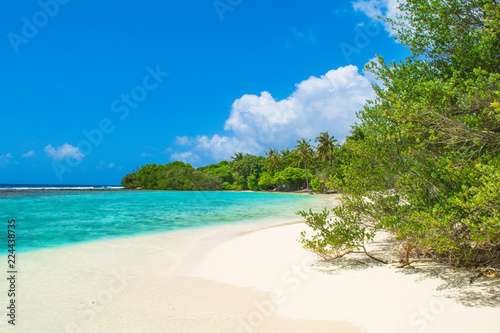 Fototapeta Naklejka Na Ścianę i Meble -  Beautiful sandy beach in uninhabited island