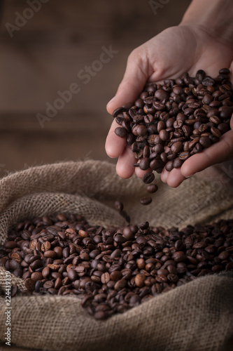 Crop close-up view of sack of fresh coffee beans with hands