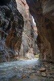 The Narrows Canyon and River in Zion