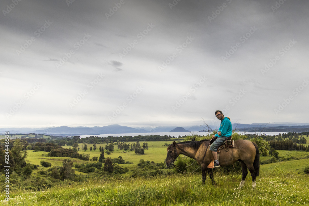 Amazing horse walk along the meadows close to Rupanco Lake on a wonderful green grass with amazing landscapes from the South of Chile Amazing horse walk along the meadows close to Rupanco Lake on a wonderful green grass with amazing landscapes from the South of Chile