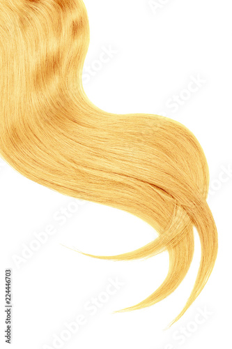 Curl of natural blond hair on white background. Wavy ponytail