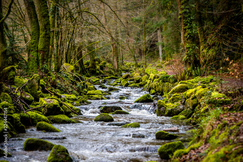 Wallpaper Mural Bachlauf - Geroldsauer Wasserfälle Torontodigital.ca