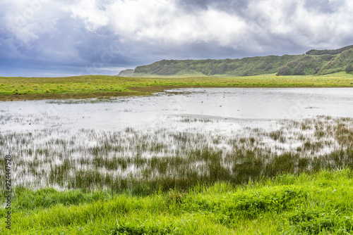 Amazing spring landscape with a a flooded lagoon inside a green farmland grass on an overcast day with the rain menace on the air at Cobquecura countryside, Chile