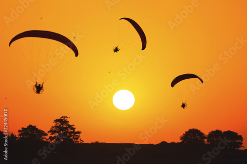 athletes fly on a paraglider over the forest against the backdrop of the setting sun