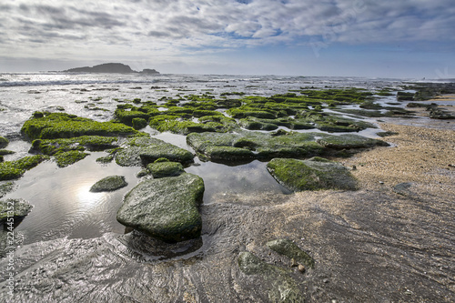 Rocks with algae making amazing reflections of the sunlight at La Boca de Pupuya a wonderful beach in the middle of Chile very close to Santiago with very nice lines and a nice place for kite surfing photo