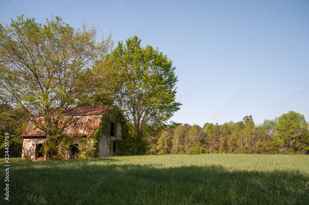 An old shed with overgrowth in the country An old shed with overgrowth in the country