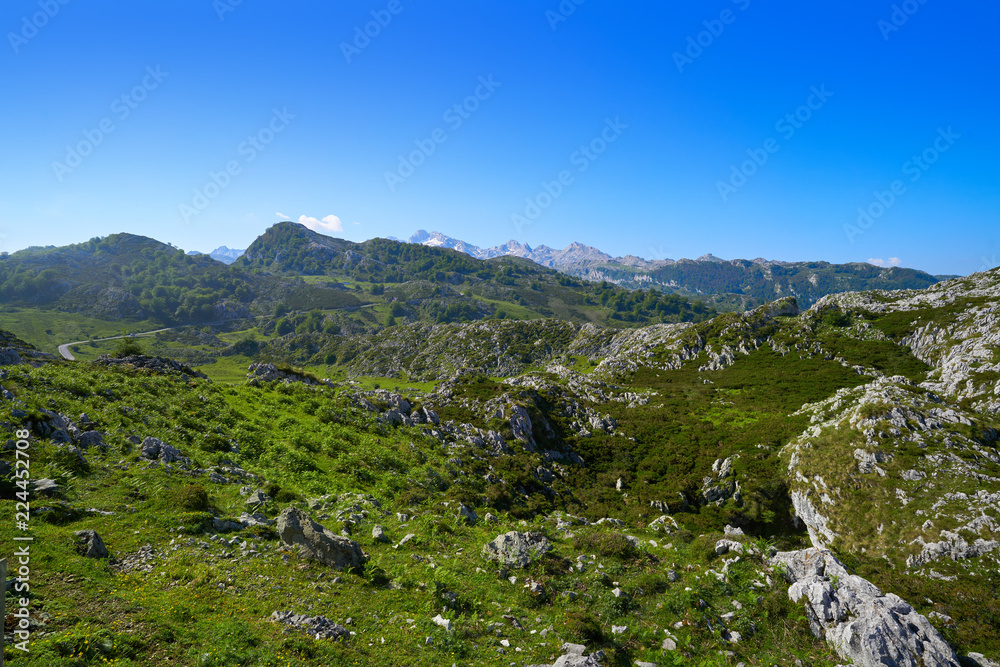 Picos de Europa in Asturias of Spain