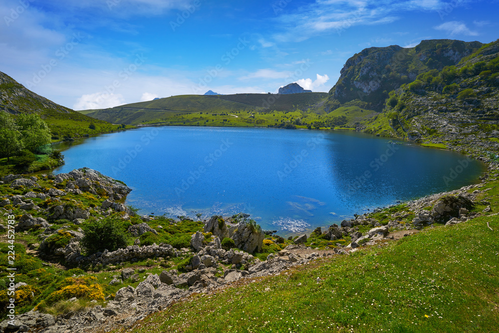 Picos de Europa Enol lake in Asturias Spain