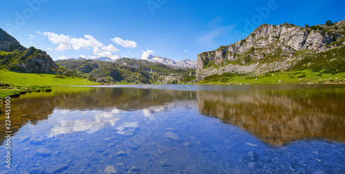 Fototapeta Naklejka Na Ścianę i Meble -  Ercina lake at Picos de Europa in Asturias Spain