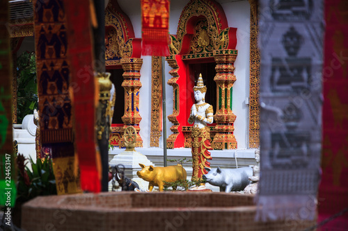 Wat Phra That Doi Tung temple church with public domain containing Buddha's relic, considered as a treasure of Buddhism, Mae Sai, Chiang Rai, Thailand. Thai Travel Tourism.