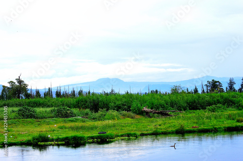 Fototapeta Naklejka Na Ścianę i Meble -  Paisaje verde con montañas de fondo y un pato en el lago
