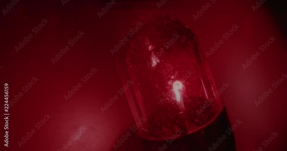 Red light extreme macro shot