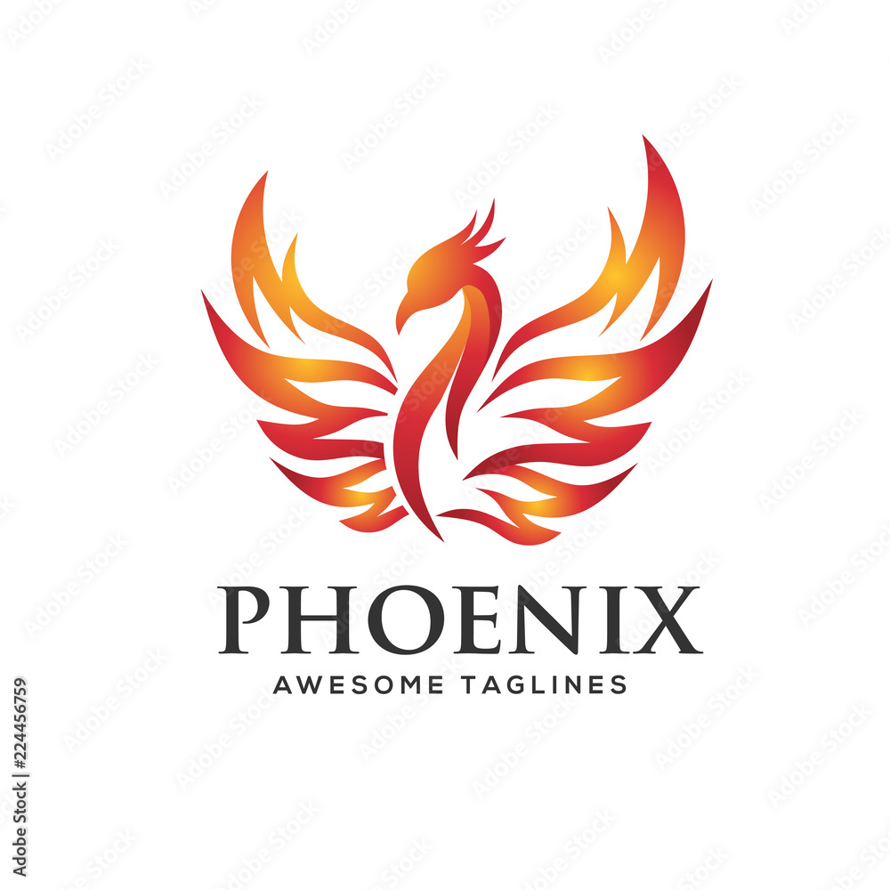 luxury phoenix logo concept, best phoenix bird logo design luxury phoenix logo concept, best phoenix bird logo design
