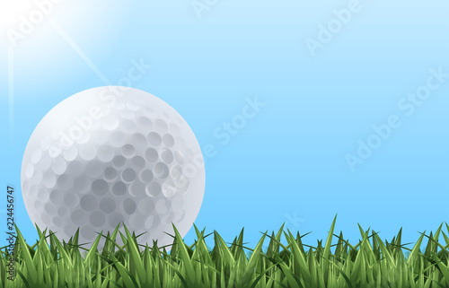 Golf ball on grass