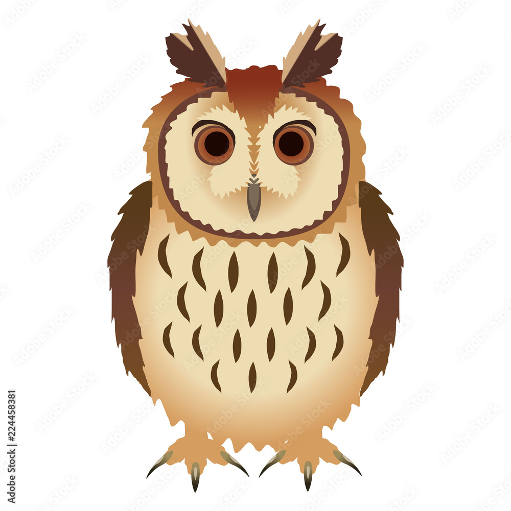 イラストオーダー＋ウサギフクロウミニ色紙 イラストオーダー＋ウサギフクロウミニ色紙