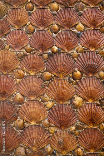 Tazones shells facades of Asturias Spain