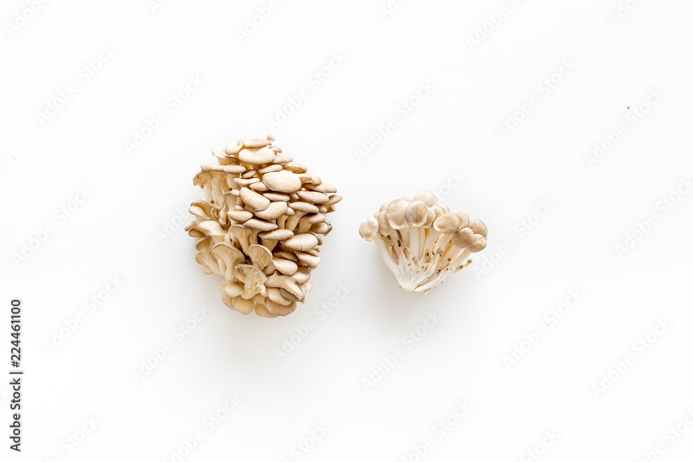 Obraz premium Oyster mushroom. Fresh raw veshenka on white background top view copy space