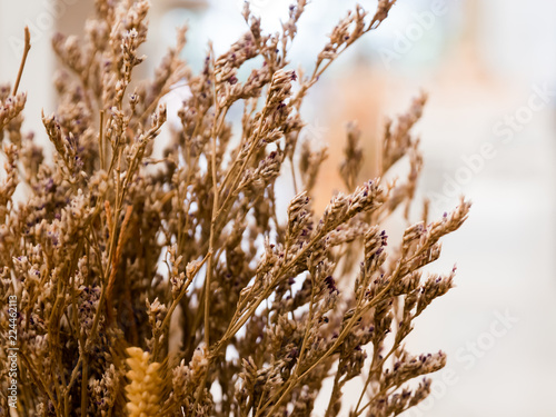 Dried flowers used in home decoration in bokeh bulb behind the scenes.soft focus.