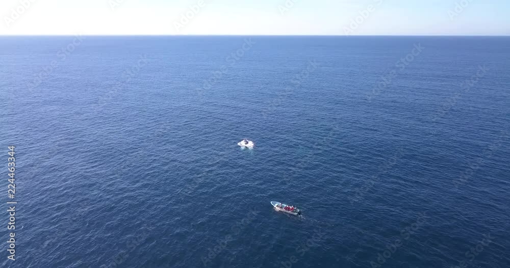 Mexico Whale Watching Drone Aerial Whale Surfacing Near Sightseeing Boat 4K Mexico Whale Watching Drone Aerial Whale Surfacing Near Sightseeing Boat 4K