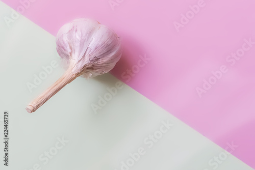 isolated minimalistic raw fresh garlic on pink and creamy color backgound  f