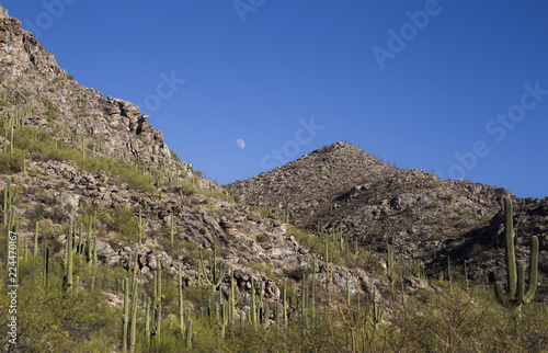 Moon over desert mountain Arizona