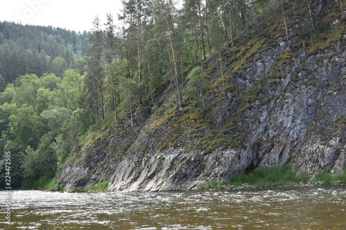 river in the forest