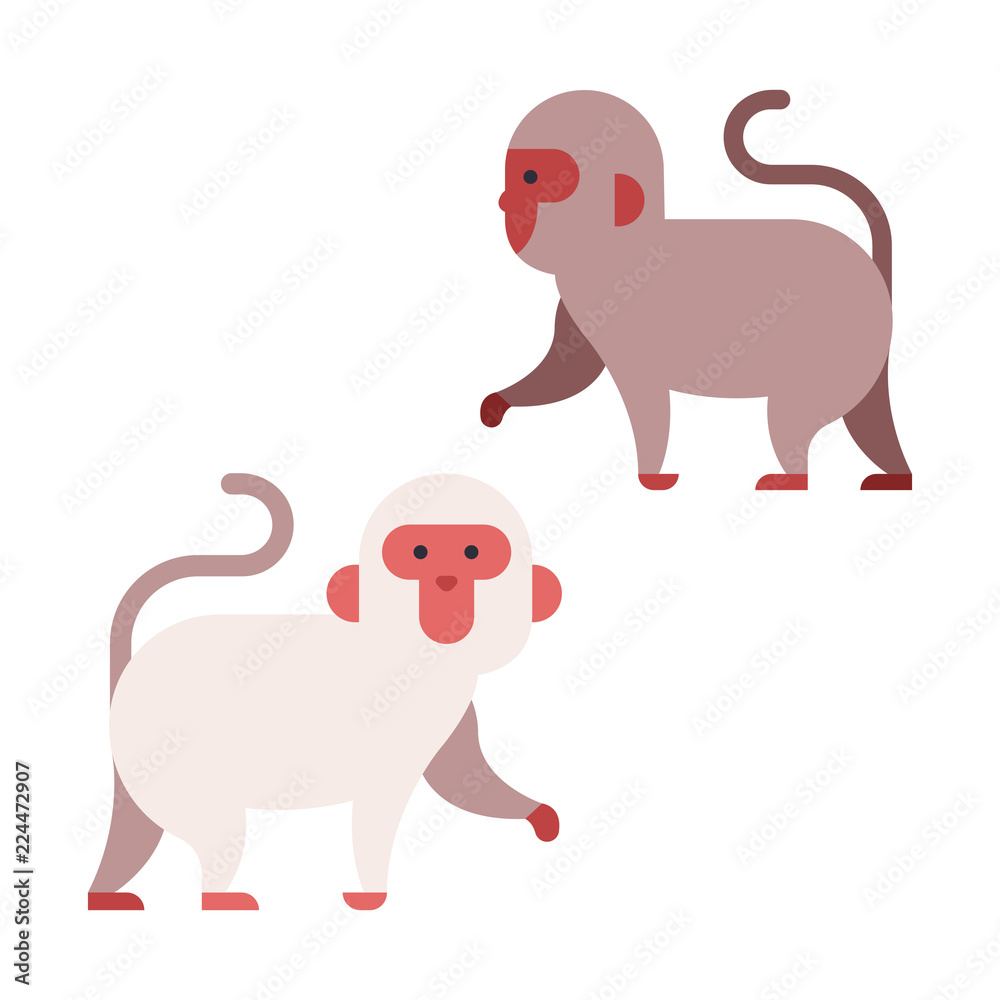 Japanese Monkey Flat illustration Japanese Monkey Flat illustration