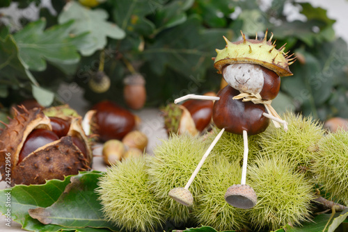 chestnuts  figure sitting on chestnut
