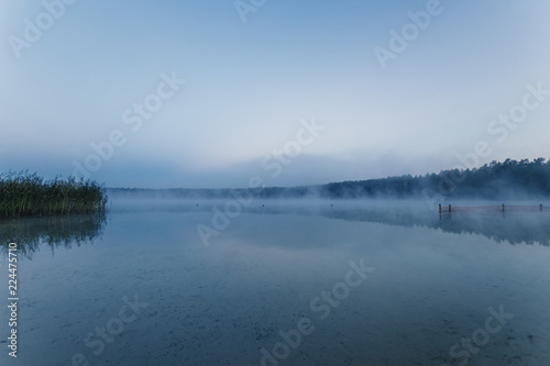 Fog over the lake  twilight over the lake  very dense fog  dawn  blue sky over the lake  the morning comes  the forest reflects in the water  surface water  clear morning sky  gothic  Grim picture