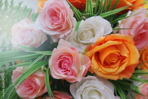 group rose decoration colorfui and soft blur backgrounds