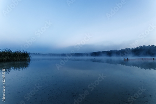 Fog over the lake, twilight over the lake, very dense fog, dawn, blue sky over the lake, the morning comes, the forest reflects in the water, surface water, clear morning sky, gothic, Grim picture