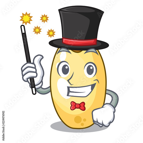 Magician cedar pine nuts isolated on mascot