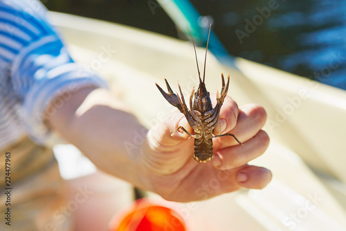 Process of cacthing  crawfish  and tackle in sweet water mountain lake photo