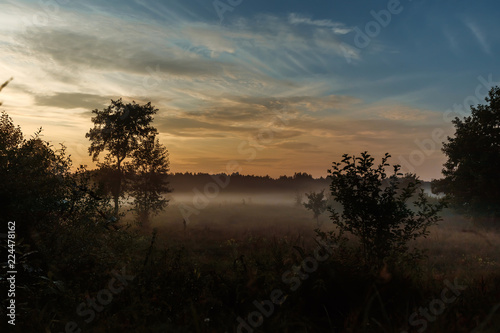 Beautiful foggy landscape, sunset. The fog glowing in the sunlight, above the meadow grass.