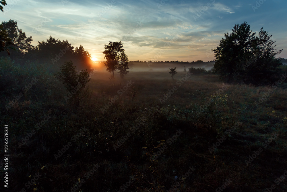 Beautiful foggy landscape, sunset. The fog glowing in the sunlight, above the meadow grass. Beautiful foggy landscape, sunset. The fog glowing in the sunlight, above the meadow grass.