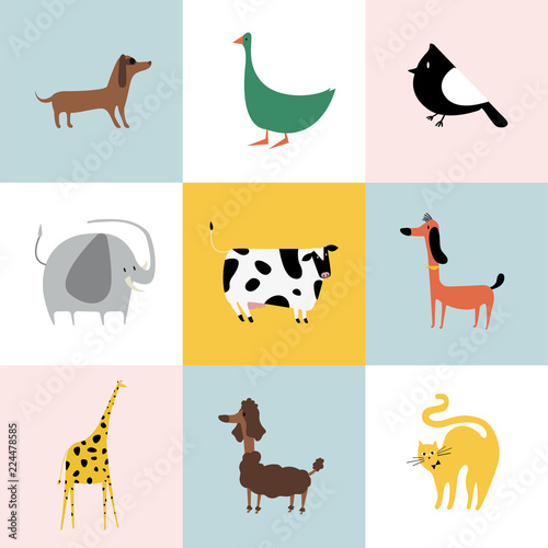 Collage of different kinds of animals
