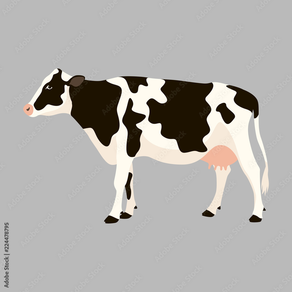 cow vector illustration flat style profile cow vector illustration flat style profile