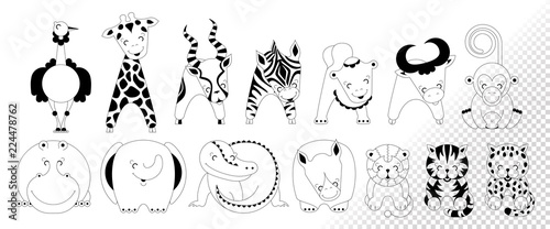 Contour african animals. Leopard, tiger, lion, rhinoceros, crocodile, elephant, hippo, monkey, buffalo, camel, zebra, antelope, giraffe, ostrich isolated on background.