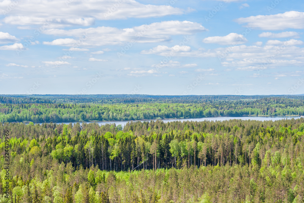 Forest open space and Lake Janisjarvi near Lynx mountain in Karelia