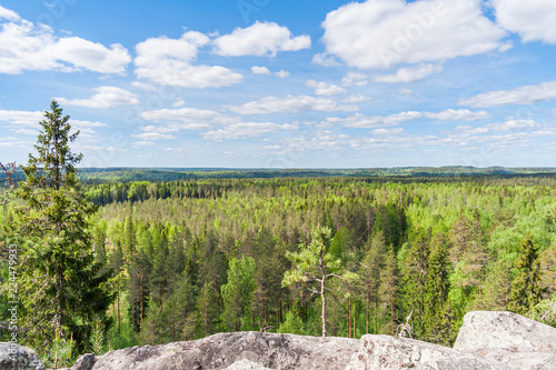 Forest open space under the Lynx mountain in Karelia