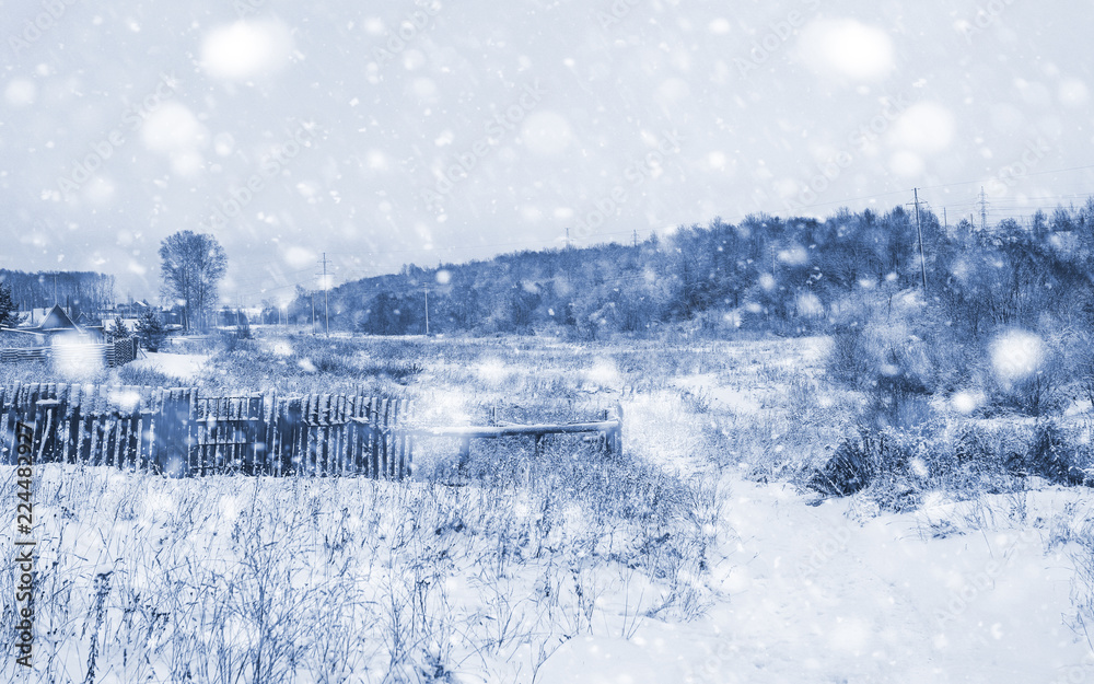 Landscape in the winter day